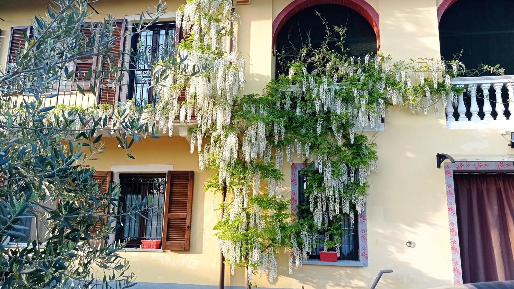 Hostal La Casa Dei Masue' Alba  Exterior foto